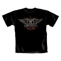 AEROSMITH: Faded Wings