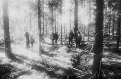 Hamarosan kiadja visszatérő, 'Pure' című albumát az IN THE WOODS...