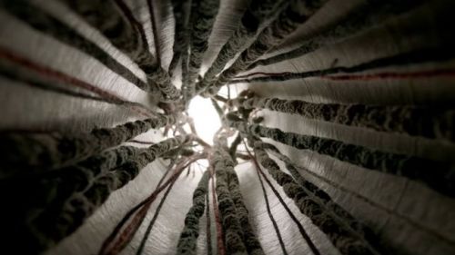 Klip-premier: THE DEVIL WEARS PRADA - 'The Thread'