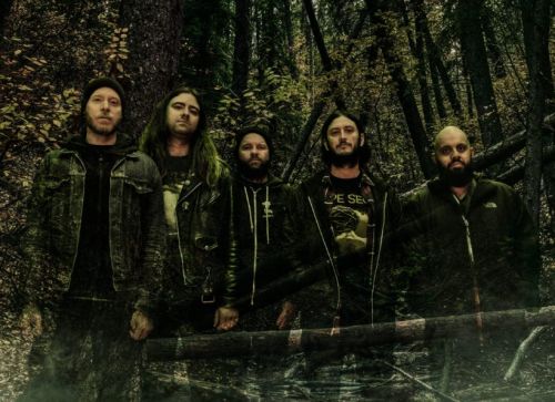 Wake Premiere New Song 