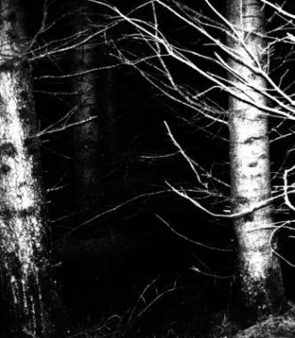 1000 dal, amit hallanod kell, mielőtt meghalsz [573. rész]