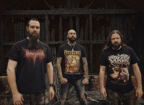 TWITCH OF THE DEATH NERVE - új dal az angol brutál tech-death bandától: 'The Wages Of Faith'