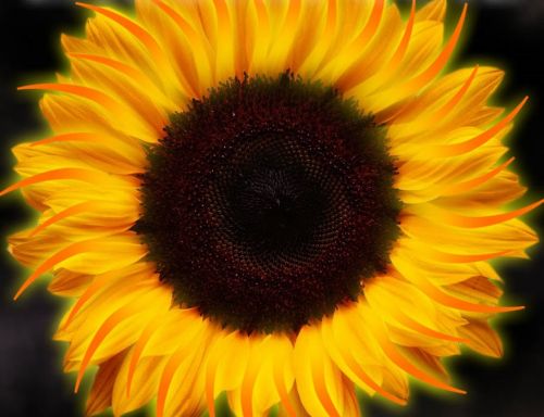 1000 dal, amit hallanod kell, mielőtt meghalsz [620. rész]