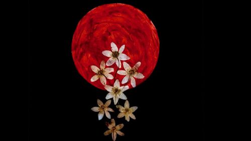SWALLOW THE SUN - hallgasd végig a 'Moonflowers' albumot!