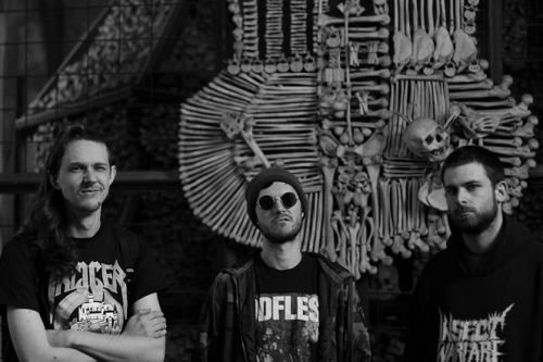 HUMAN CULL - bejelentette harmadik albumát a brit grindcore banda