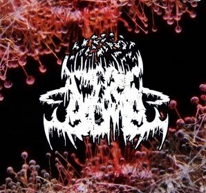 ORC BOMB - hallgasd végig a New Jersey-beli slam banda bemutatkozó mini-lemezét!