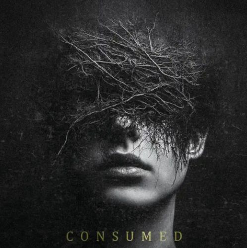 DEATH TAG - itt a svéd deathcore banda új száma, a Consumed!