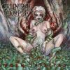 WORM INFESTED (REMASTERED)
