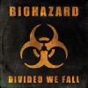 DIVIDED WE FALL