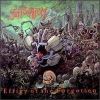 EFFIGY OF THE FORGOTTEN