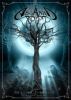 LUX IN TENEBRIS