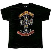 GUNS 'N ROSES - Appetite for destruction